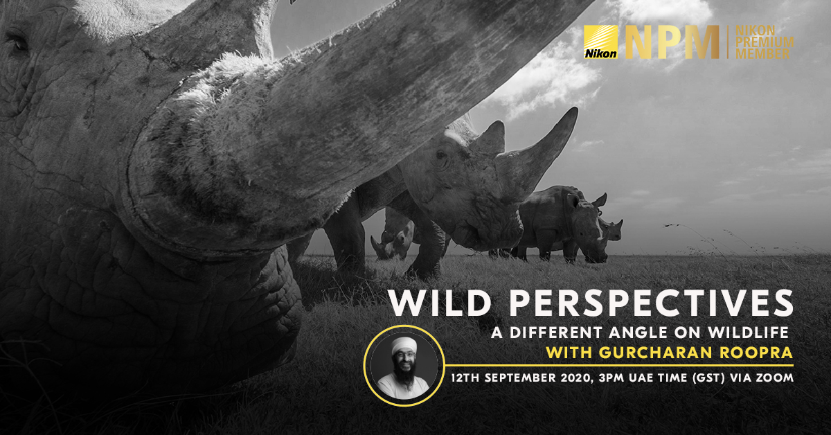 Wild Perspectives - A Different Angle On Wildlife