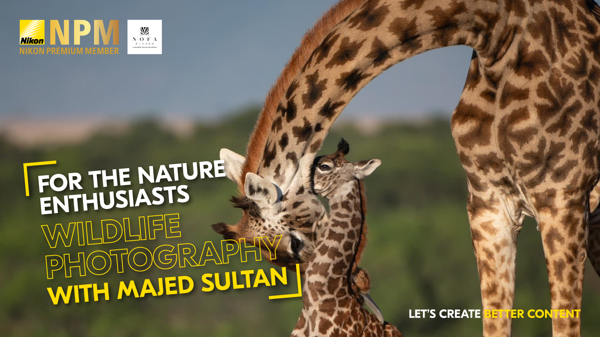 WILDLIFE PHOTOGRAPHY WORKSHOP